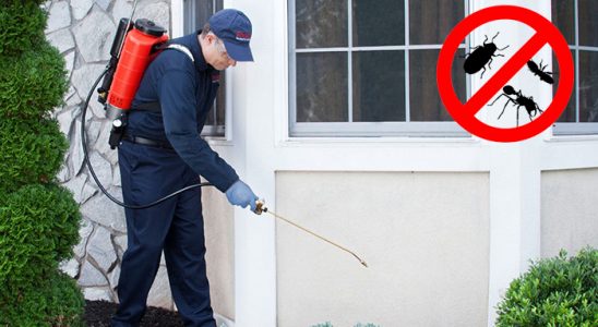 Payamlı Dezenfeksiyon böcek ilaçlama ve haşere kontrolü — ilaclama-tr.com